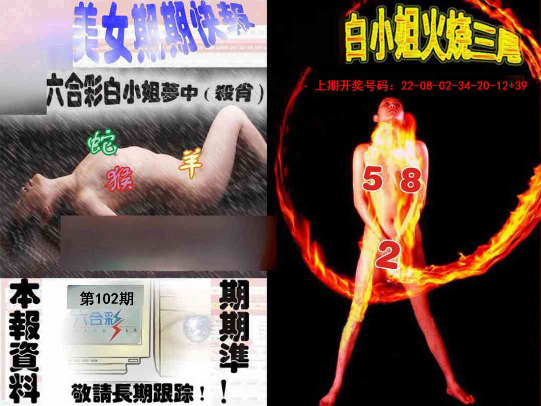 102期环球美女特码报[图]